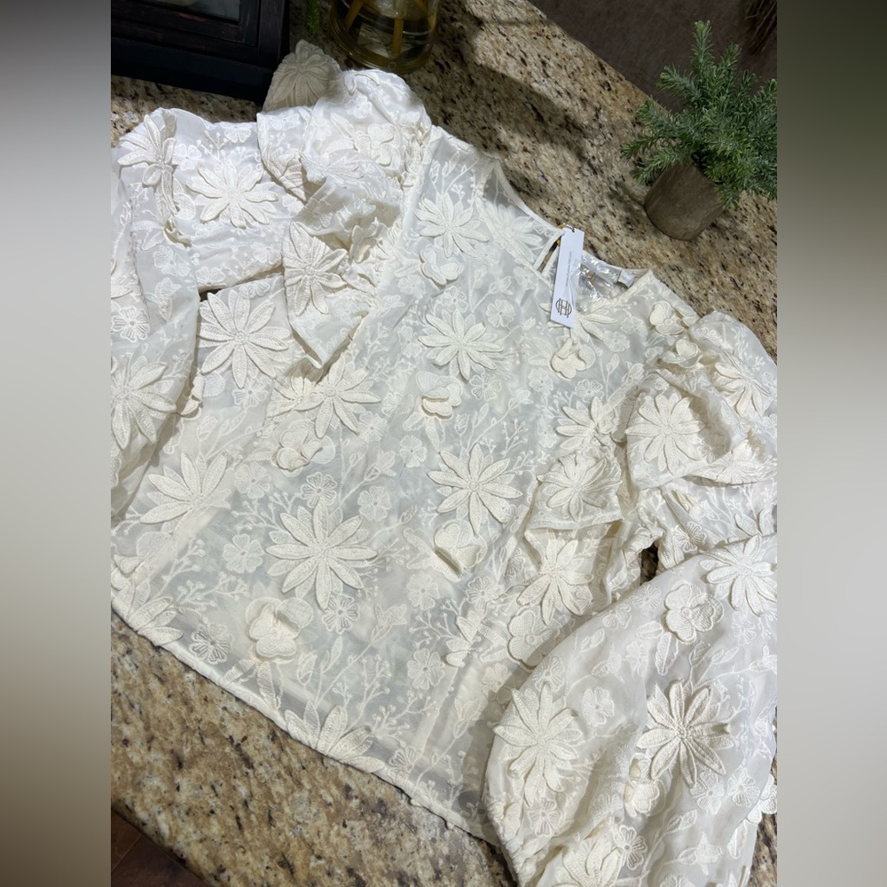 House of Harlow 1960 Floral Applique Puff Sleeves Button-keyhole Ivory Top Med